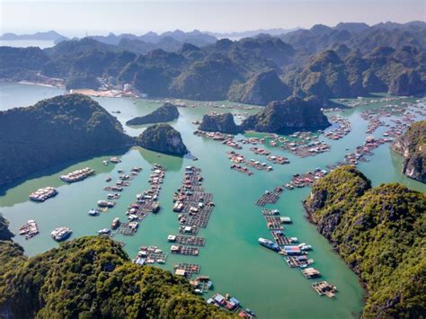 cheap halong bay cruises.